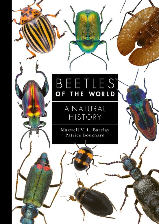 A Guide to Every Family- Beetles of the World