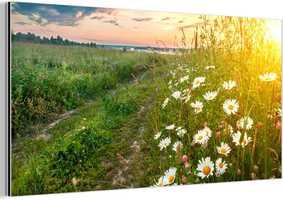 Décoration murale Métal - Peinture Aluminium Industriel - Fleurs - Marguerite - Nature - Soleil - Horizon - 160x80 cm - Dibond - Photo sur aluminium - Décoration murale industrielle - Pour le salon/chambre