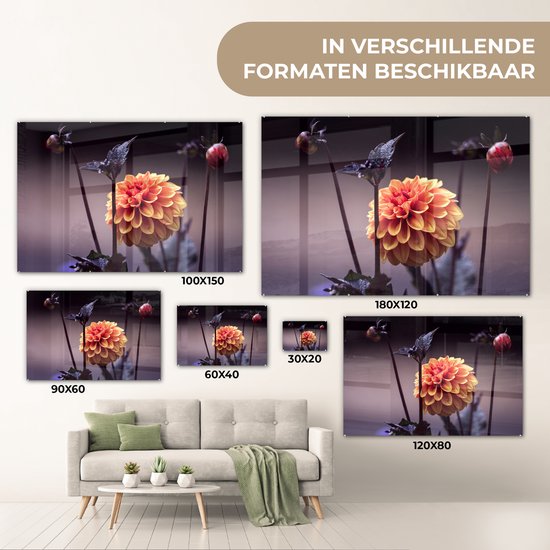 MuchoWow® Peinture sur verre 150x100 cm - Peinture sur verre acrylique - Fleurs - Chrysanthème - Macro - Plantes - Photo sur verre - Décoration murale salon - Décoration murale chambre - Peintures