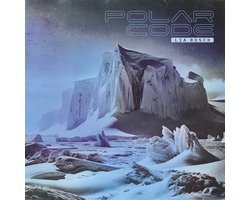 Polar Code