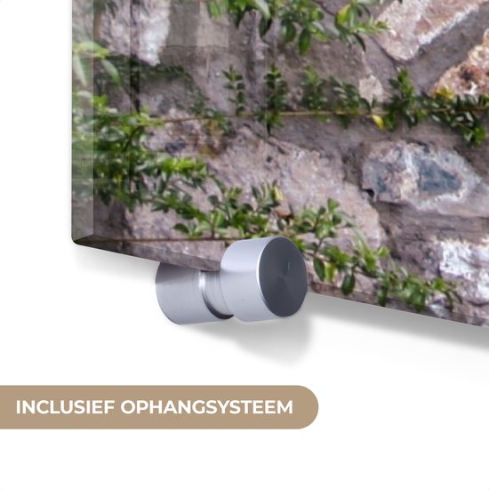 MuchoWow® Peinture sur Verre - Voir à Travers - Sakura - Fleur - Japonais - 90x90 cm - Peintures sur Verre Acrylique - Photo sur Glas