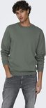 Man met handen in de zakken, kijkend naar de camera. Draagt een effen groene sweater en grijze jeans.