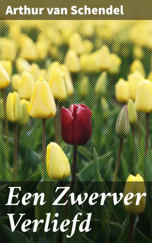 Een Zwerver Verliefd - cover