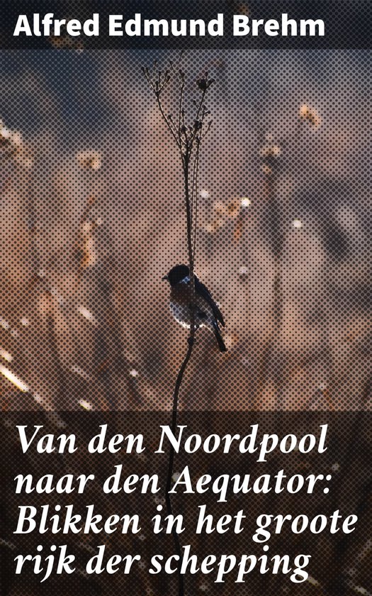 Van den Noordpool naar den Aequator: Blikken in het groote r ... - cover