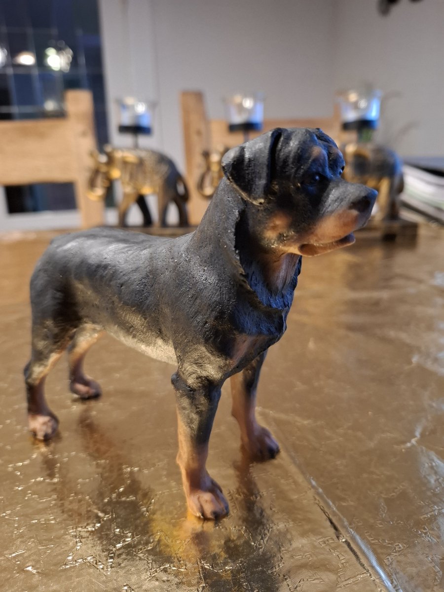 Beeld Rottweiler
