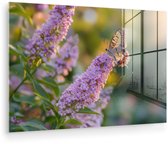 MuchoWow® Peinture sur verre 120x80 cm - Peinture sur verre acrylique - Gracieux - Papillon - Violet - Fleurs - Photo sur verre - Décoration murale salon - Décoration murale chambre - Peintures