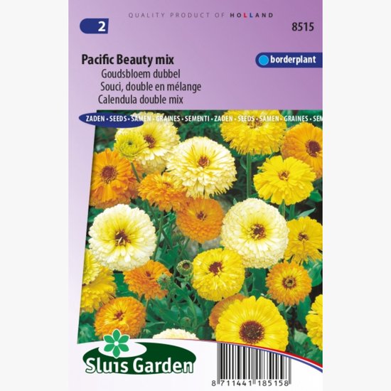 Goudsbloem (Calendula officinalis) - dubbel Pacific Beauty mix - Calendula - Snijbloemen - bloeit in Juni / Juli / Augustus / September
