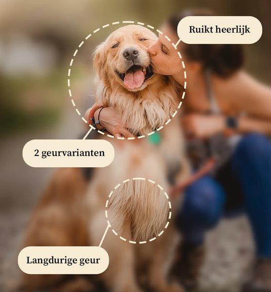 Vrolijke golden retriever kust op de wang. "Ruikt heerlijk", "2 geurvarianten", "Langdurige geur".