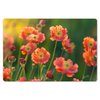 Bloemen, Oranje