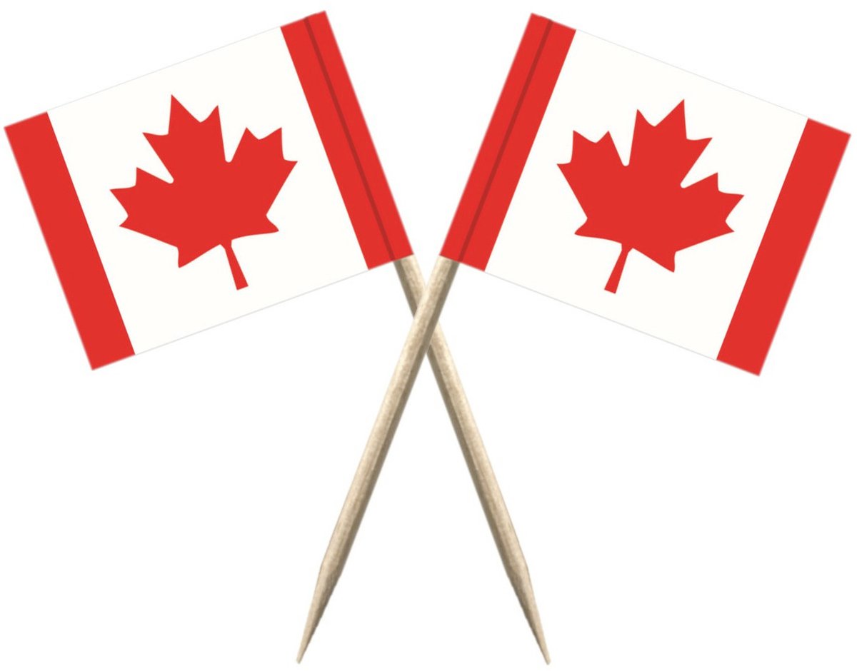 Cocktailprikkers vlag Canada - 100x stuks - 8 cm mini deco vlaggetjes - landen decoratie - Prikkertjes - Versiering