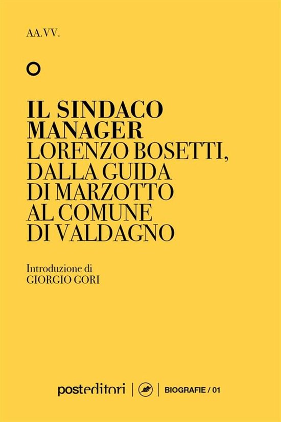 Il Sindaco Manager - cover