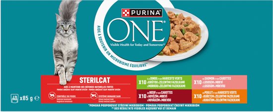 Pack Purina ONE Sterilcat de 40 sachets, avec un chat tigré gris et des gamelles de poulet, bœuf et saumon.