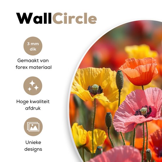 WallCircle® Wandcirkel 60x60 cm - Muurcirkel Bloemenveld - Klaprozen - Kleurrijk - Muurdecoratie woonkamer - Wanddecoratie slaapkamer - Kamer decoratie accessoires - Ronde schilderijen