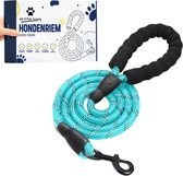 All 4 Pets Supply Hondenriem - 3 Meter - Reflecterend - Honden Riem - Leiband Hond - Looplijn - Hondentuig - Dog Leash - Neonblauw