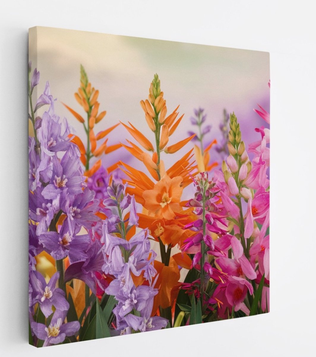 Saammp Canvas Schilderij - Vrolijke bloemencompositie - Kleurrijk - Natuur - Abstract - 60x60 - Foto op canvas - Wanddecoratie - Muurdecoratie Woonkamer - Kantoor Decoratie Multicolor