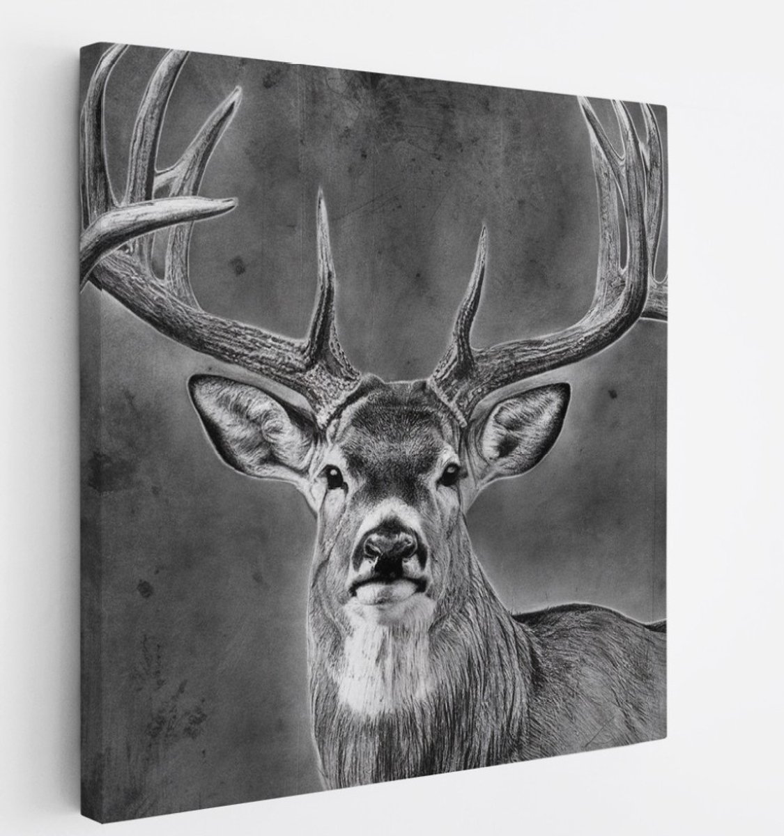 Saammp Canvas Schilderij - Hert - Abstract - Dieren - 30x30 - Foto op canvas - Wanddecoratie - Muurdecoratie Woonkamer - Slaapkamer decoratie - Canvas Print Multicolor