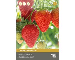 Aardbei Zaden Grandian F1 – Doordragende Aardbeien voor Moestuin of Balkon – Fruitzaad om Aardbeien te Kweken – ±15 Zaden - Tuin de Bruijn® zaden