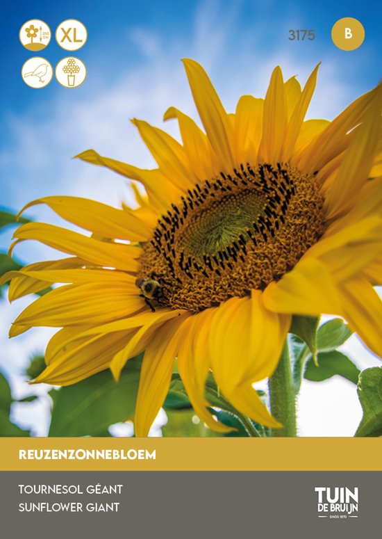 Tuin de Bruijn® zaden - Zonnebloem