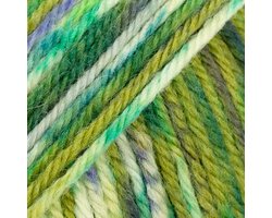 DROPS Fiesta Print - 16 kruidentuin - Wol Garen