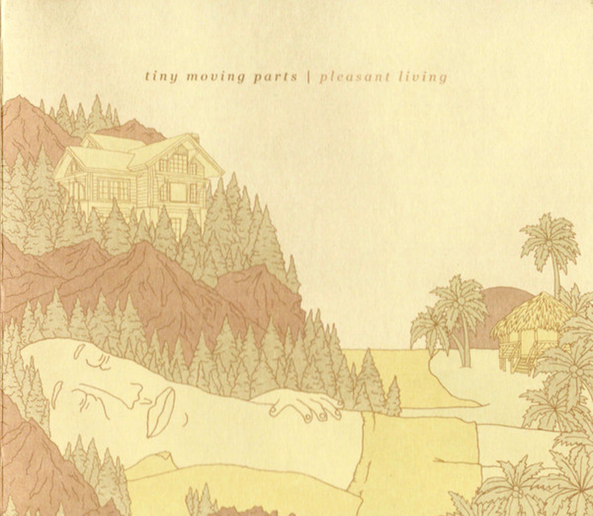 Tiny Moving Parts - Pleasant Living (LP)
