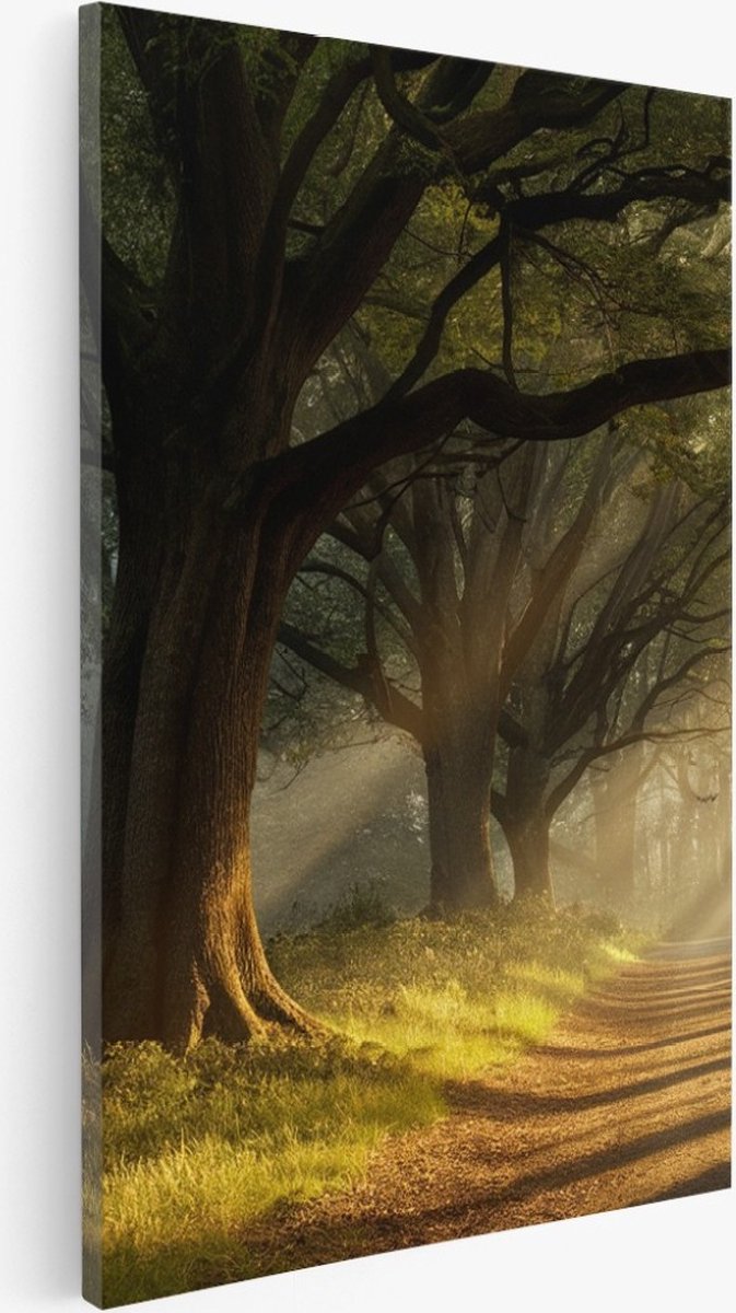Saammp Canvas Schilderij - Landschap - Zonneschijn op een pad tussen de bomen - Natuur - 40x60 - Foto op canvas - Wanddecoratie - Muurdecoratie Woonkamer - Slaapkamer decoratie - Canvas Print Multicolor