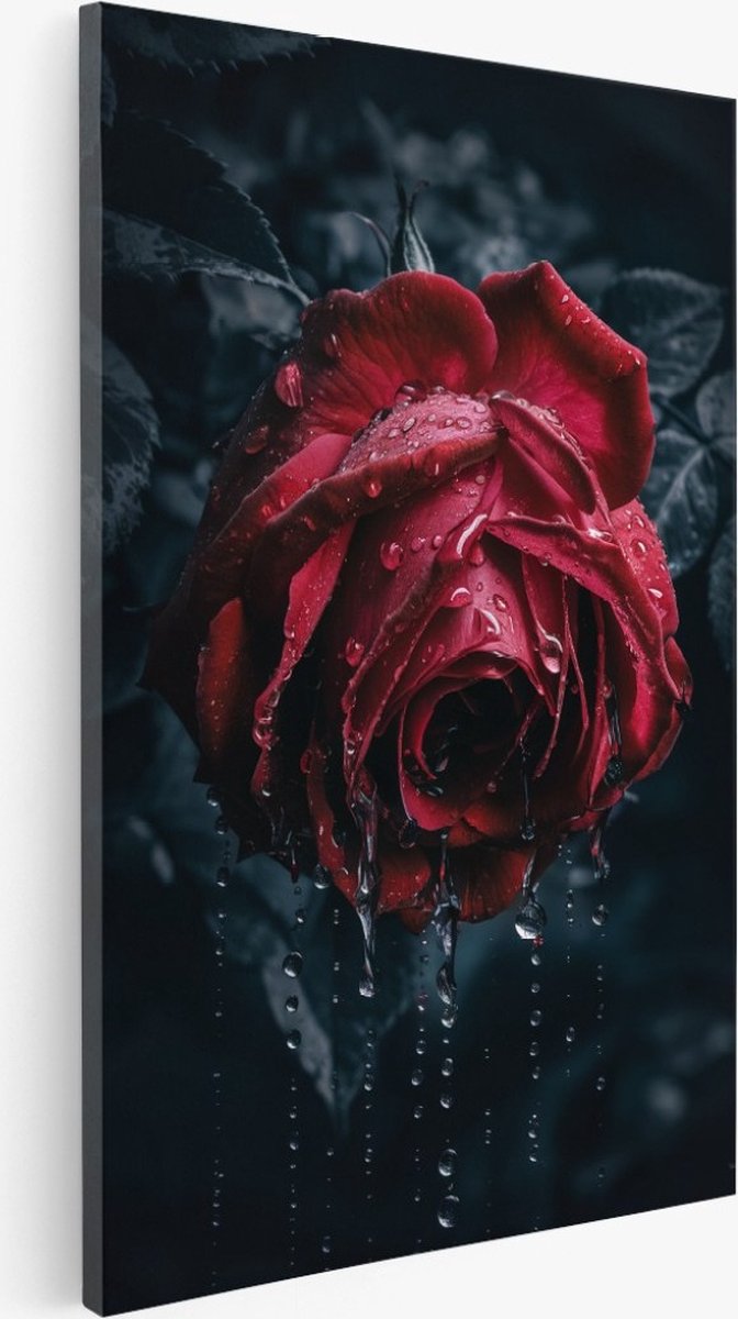 Saammp Canvas Schilderij - Natte Rode Roos - Bloemen - 50x70 - Foto op canvas - Wanddecoratie - Muurdecoratie Woonkamer - Kantoor Decoratie Multicolor