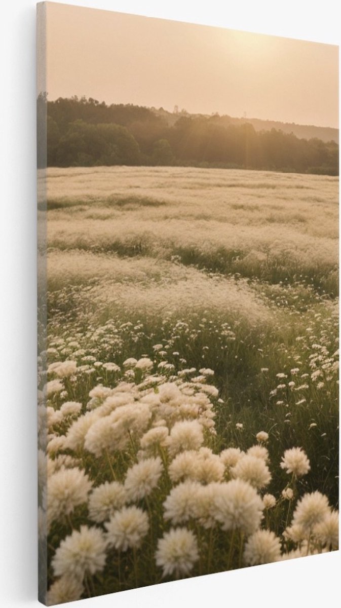 Saammp Canvas Schilderij - Landschap - Wit - Bloemenveld - Natuur - 50x70 - Foto op canvas - Wanddecoratie - Muurdecoratie Woonkamer - Slaapkamer decoratie - Canvas Print Multicolor
