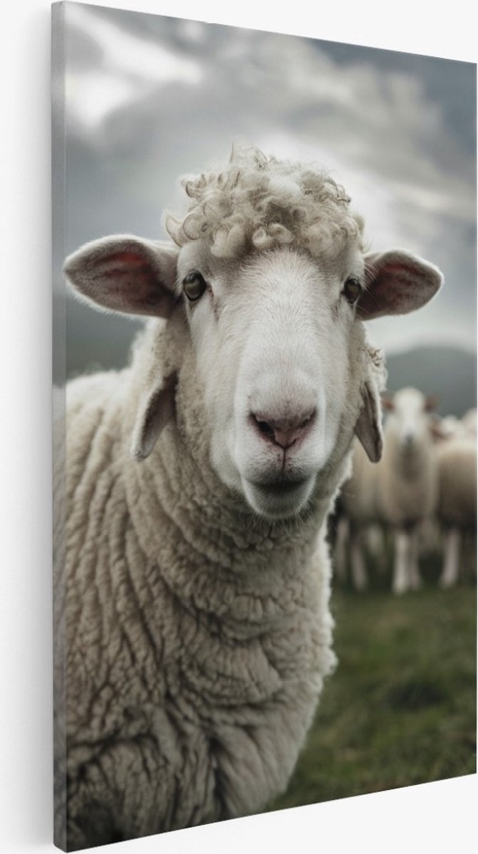 Saammp Canvas Schilderij - Schaap in de wei - Natuur - Dieren - 30x45 - Foto op canvas - Wanddecoratie - Muurdecoratie Woonkamer - Slaapkamer decoratie - Canvas Print Multicolor