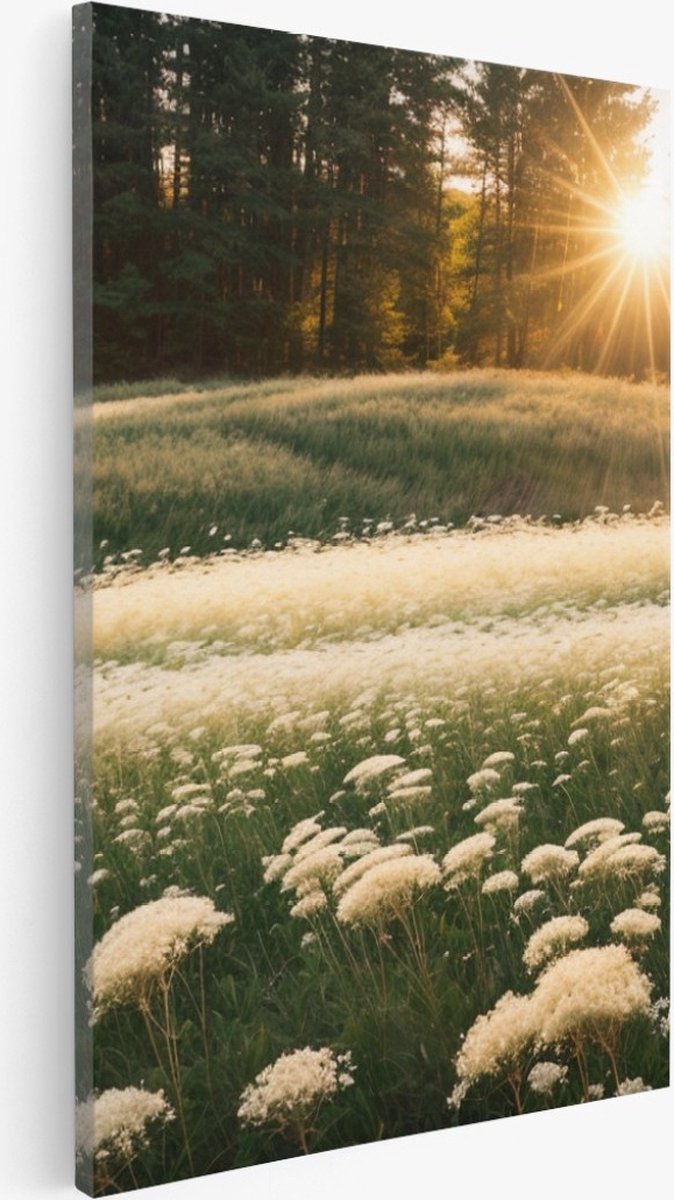 Saammp Canvas Schilderij - Landschap - Witte bloemen in het bos - Natuur - 80x120 - Foto op canvas - Wanddecoratie - Muurdecoratie Woonkamer - Slaapkamer decoratie - Canvas Print Multicolor