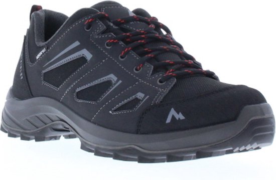 Hardloopschoen Nike Pegasus Premium