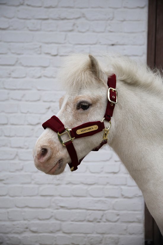 Kentucky Horsewear - Velvet halster bordeaux shetland pony Kentucky Horsewear - Velvet halster bordeaux shetland pony