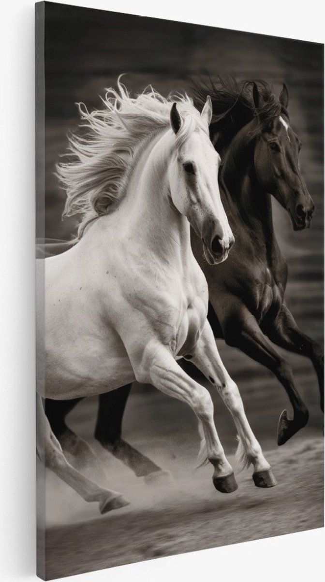Saammp Canvas Schilderij - 2 Rennende Paarden - Natuur - Dieren - 20x30 - Foto op canvas - Wanddecoratie - Muurdecoratie Woonkamer - Slaapkamer decoratie - Canvas Print Multicolor