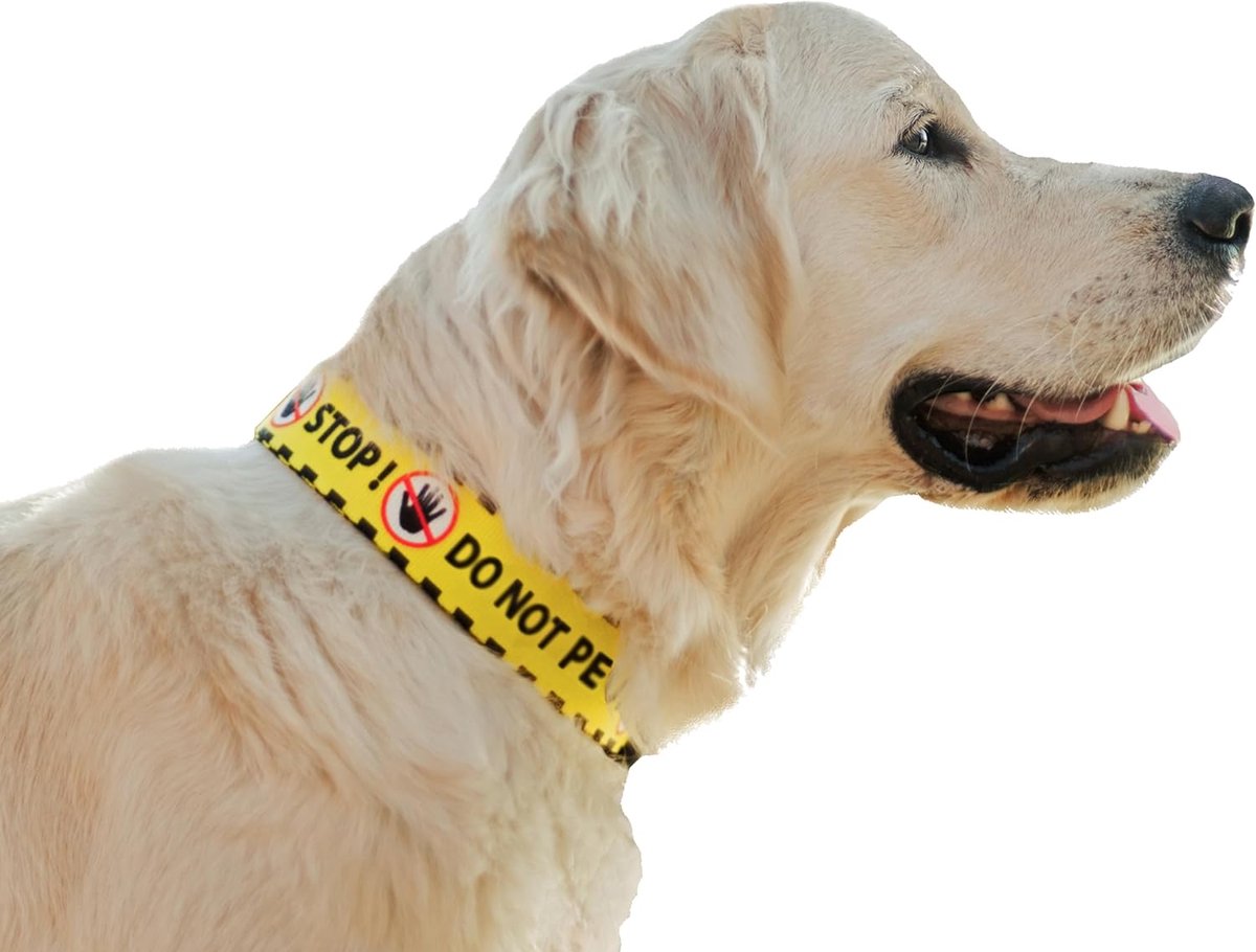 Verstelbare Hondenhalsband voor Speciale Behoeften - Zwart/Geel, Maat XL