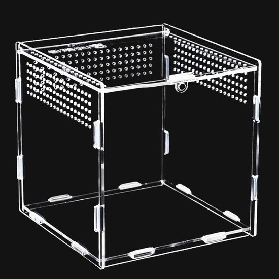 Houten Reptielen Terrarium, Hagedis Slang Tank Transportdoos, Kooi Habitat Tank, Huis Dierenwinkel Doos (S : 50x30x30cm