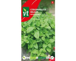 Citroenmelisse Zaden - Aromatisch kruid voor thee, salades en desserts met verfrissende citroensmaak