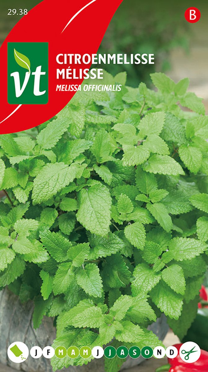 Citroenmelisse Zaden - Aromatisch kruid voor thee, salades en desserts met verfrissende citroensmaak