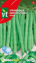 Boon struikboon Montano - Smakelijke bonen met hoge productiviteit