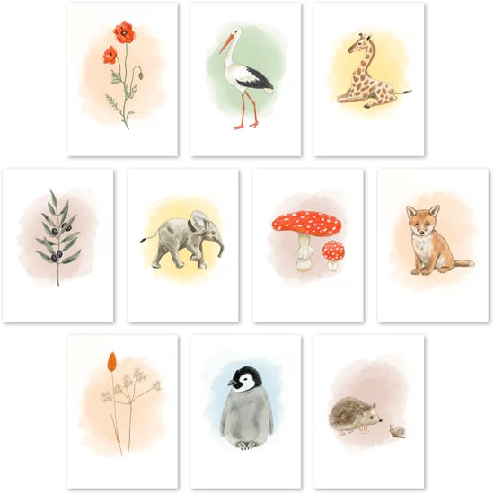 Studio-Mouche kaarten natuur - wenskaarten - ansichtkaarten- set van 10 - planten - dieren - getekend - handgeschilderd - zonder tekst