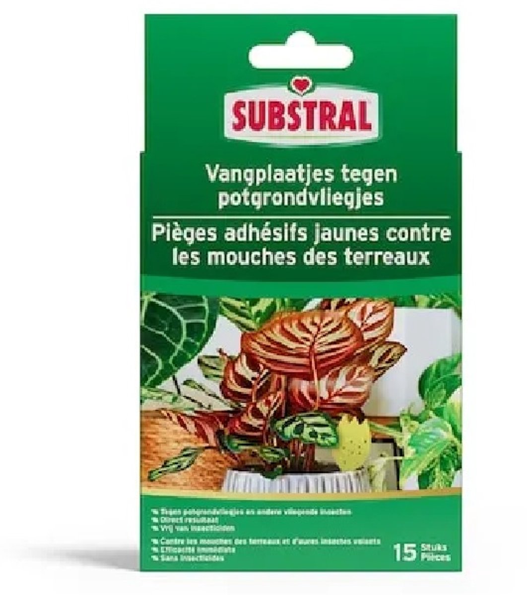 1 x Substral 15 Vangplaatjes Tegen Potgrondvliegjes: Effecti