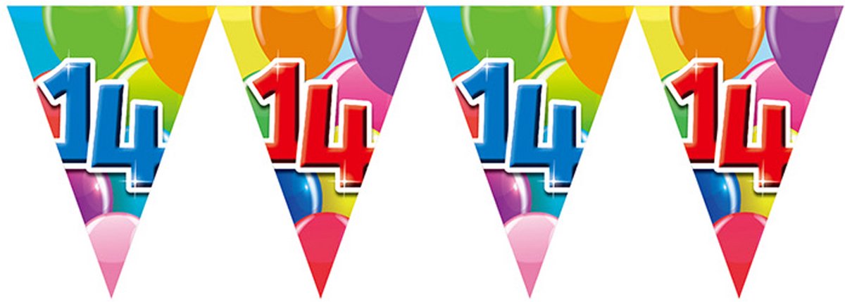 2x Vlaggenlijn 14 jaar 10 meter dubbelzijdig bedrukt - Verjaardag Feestje Vlag Vlaggen Versiering Slinger Feestdecoratie Decoratie