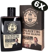 Men's Master Repigmenting Grey Hair Shampooing - Color Shampoo Grijs Cheveux Men - Value Pack - 6 x 120ML