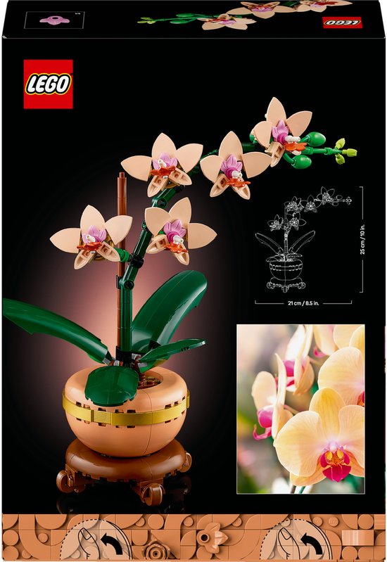 De doos van de LEGO orchidee, met een afbeelding van de plant en details van de bloemen.