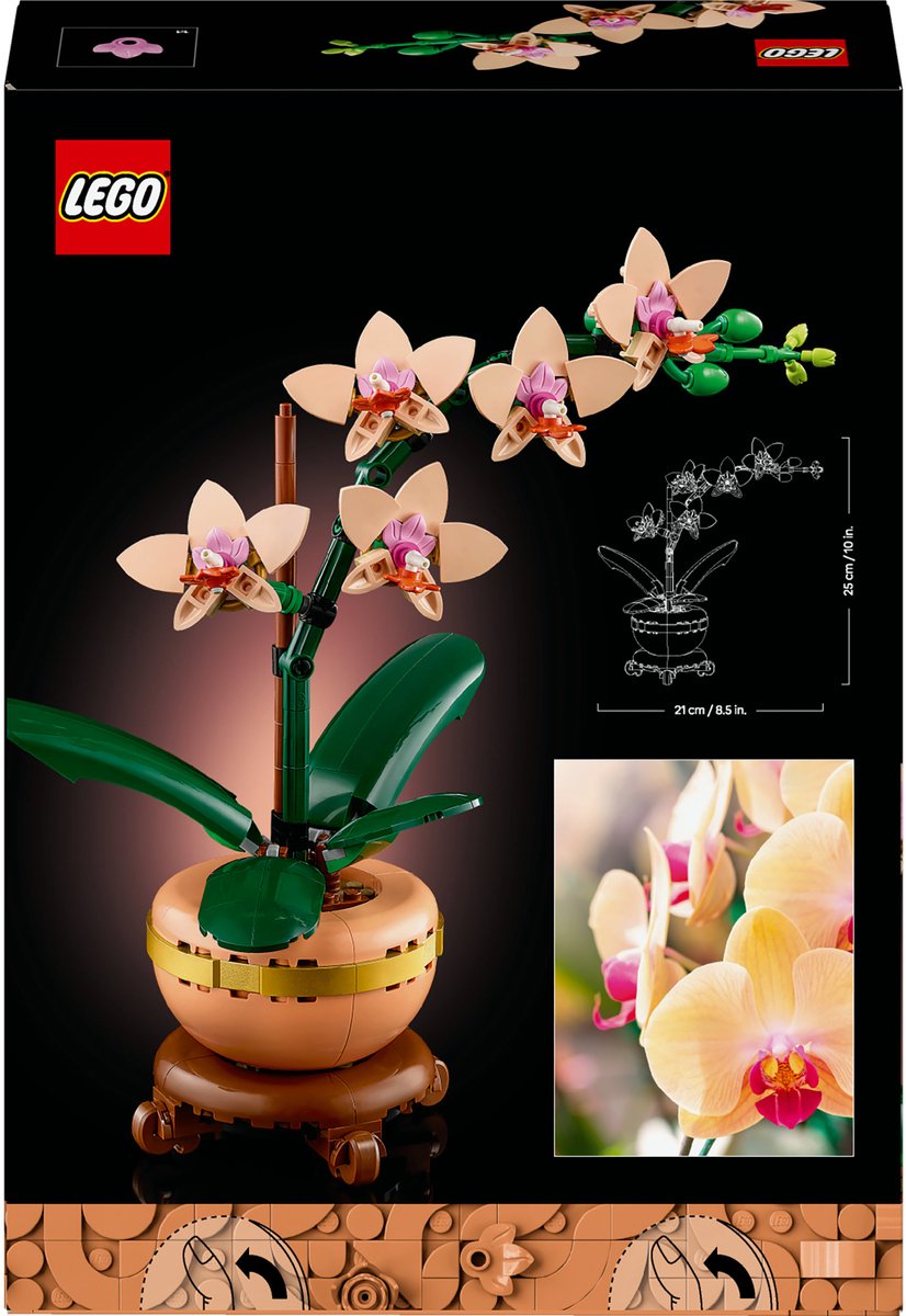 LEGO Botanicals Mini orchidee - 10343 — afbeelding 13
