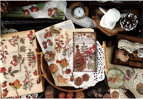 Set d'autocollants Deco - La Forêt - 40 pièces - Autocollant Forêt - Autocollants Bullet Journal - Autocollants Agenda - Autocollants - Botanique - Autocollants Scrapbook - Autocollants Ordinateur Portable - Autocollants Téléphone - Autocollants Bujo