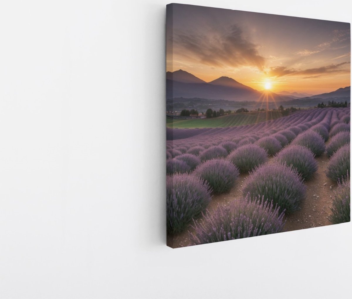 Saammp Canvas Schilderij - Landschap - Lavendel met bergen - Natuur - 60x60 - Foto op canvas - Wanddecoratie - Muurdecoratie Woonkamer - Slaapkamer decoratie - Canvas Print Multicolor