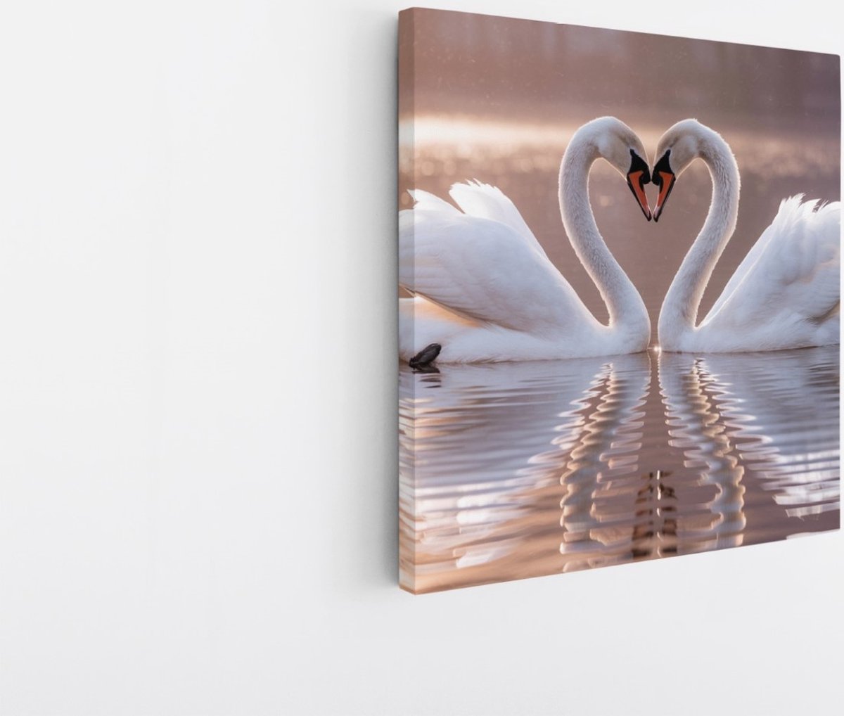 Saammp Canvas Schilderij - 2 Zwanen in zonsondergang - Natuur - Dieren - 60x60 - Foto op canvas - Wanddecoratie - Muurdecoratie Woonkamer - Slaapkamer decoratie - Canvas Print Multicolor