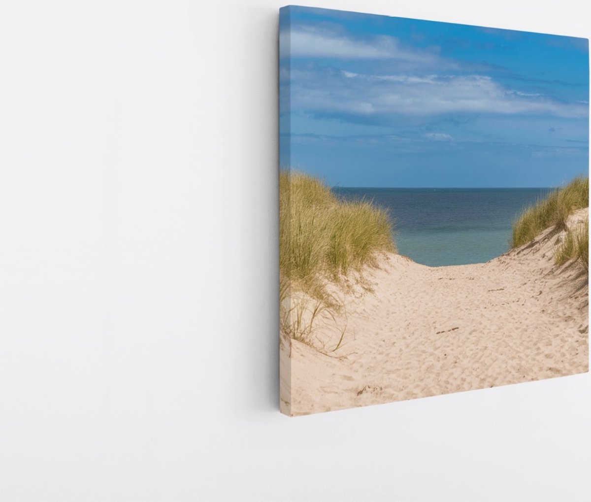 Saammp Canvas Schilderij - Strand En Zee - Pad Vanuit de duinen - 40x40 - Foto op canvas - Wanddecoratie - muurdecoratie Woonkamer - Slaapkamer decoratie - Canvas Print Multicolor