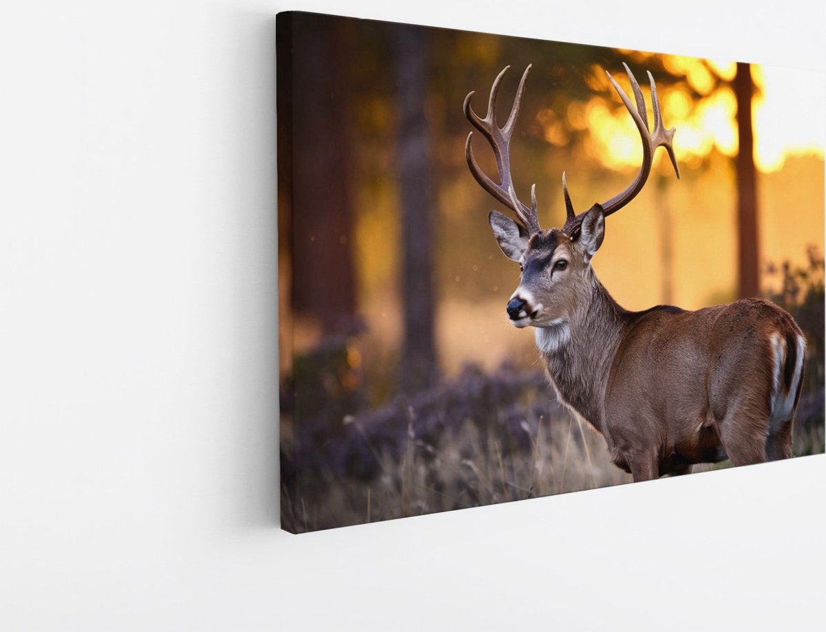 Saammp Canvas Schilderij - Hert met groot gewei - Natuur - Dieren - 30x20 - Foto op canvas - Wanddecoratie - Muurdecoratie Woonkamer - Slaapkamer decoratie - Canvas Print Multicolor