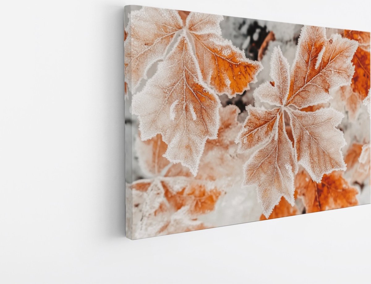Saammp Canvas Schilderij - Bevroren Herfstbladeren - Natuur Fotografie - Premium Kwaliteit - Foto op canvas - Wanddecoratie - Luxe Woondecoratie - 45x30 Multicolor