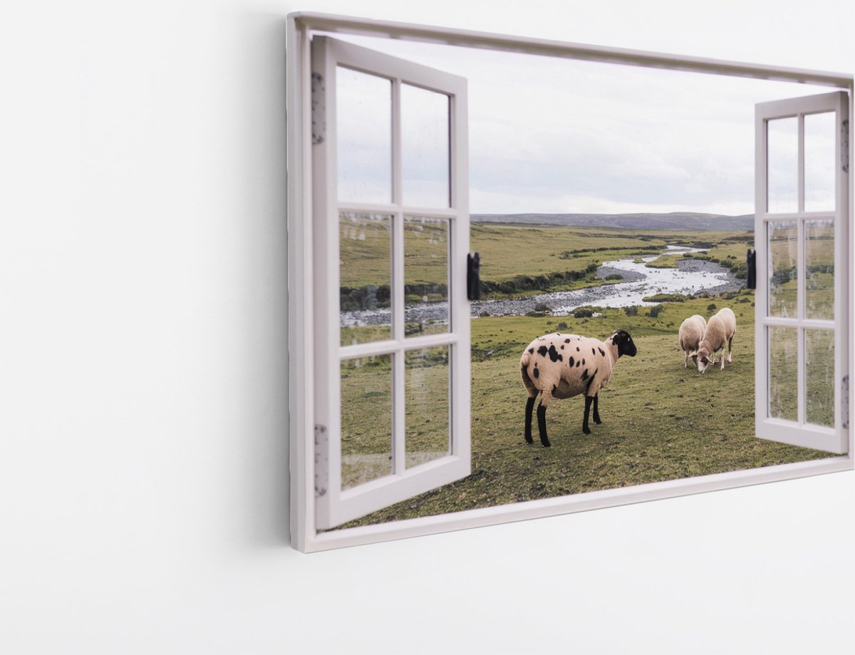 Saammp Canvas Schilderij - Schapen in de Wei - Natuur - Doorkijk - 60x40 - Foto op canvas - Wanddecoratie - Muurdecoratie Woonkamer - Slaapkamer decoratie - Canvas Print Multicolor